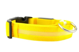 Leuchtendes LED Hundehalsband